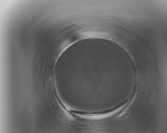 X0000062851529200601171458