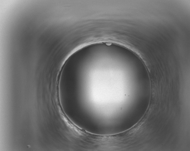 X0000062851534200601171458