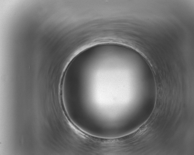 X0000062851535200601171458