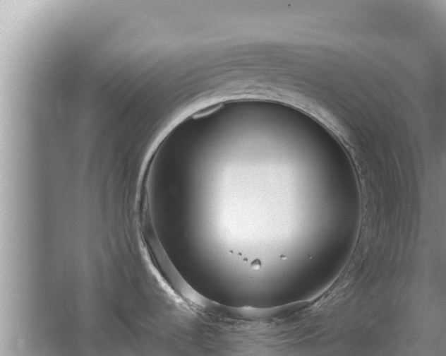 X0000062851536200601171458