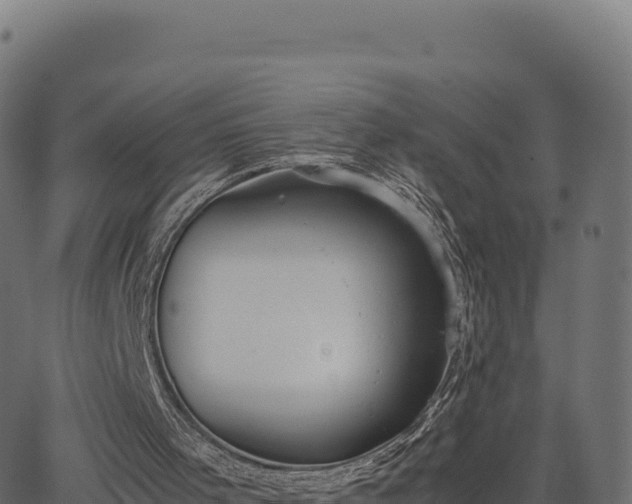 X0000062850001200601201715