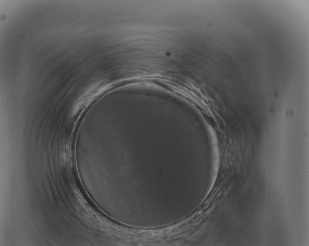 X0000062850002200601201715