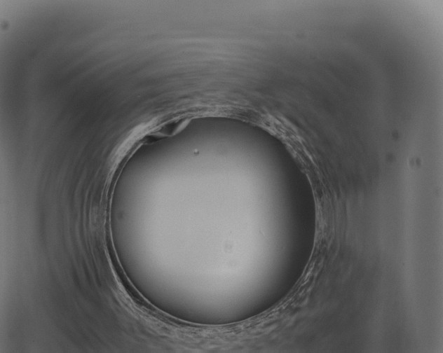 X0000062850003200601201715