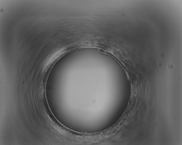 X0000062850005200601201715