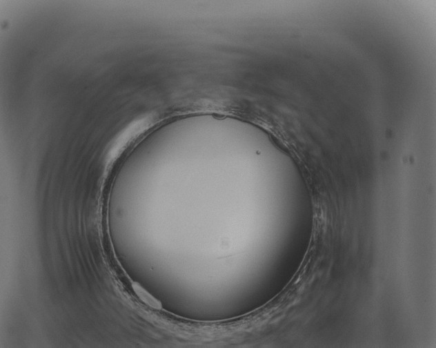 X0000062850006200601201715