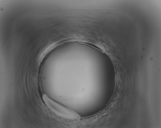 X0000062850007200601201715