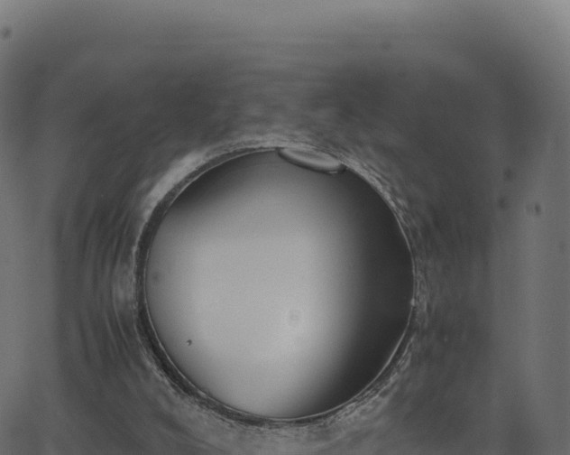 X0000062850008200601201715