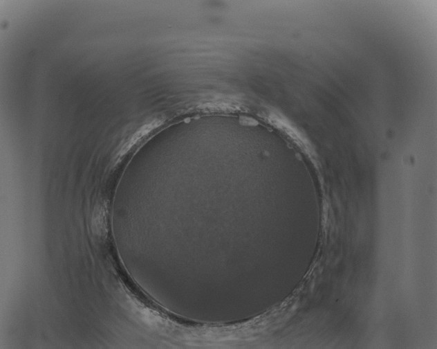 X0000062850009200601201715