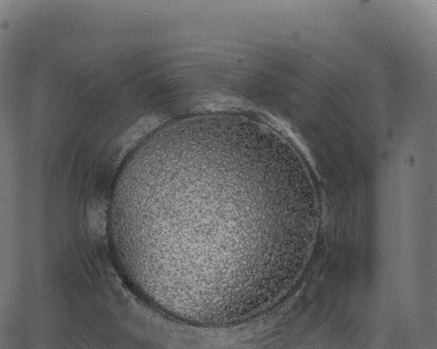 X0000062850010200601201715