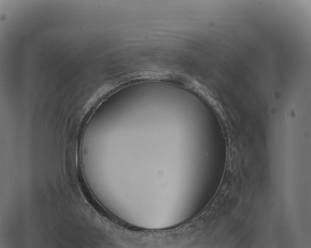 X0000062850011200601201715