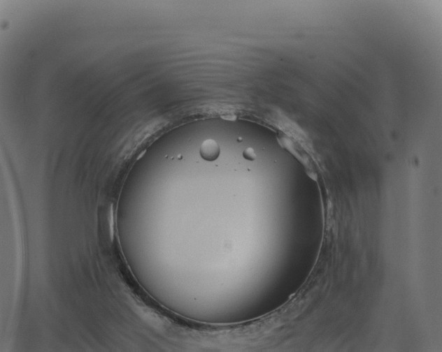 X0000062850013200601201715