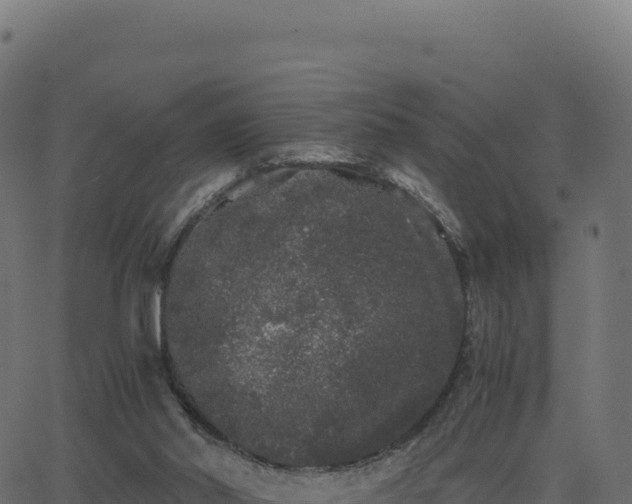 X0000062850014200601201715