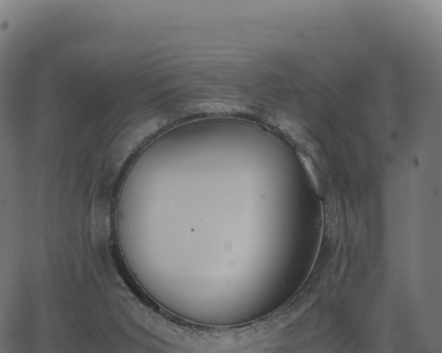 X0000062850015200601201715