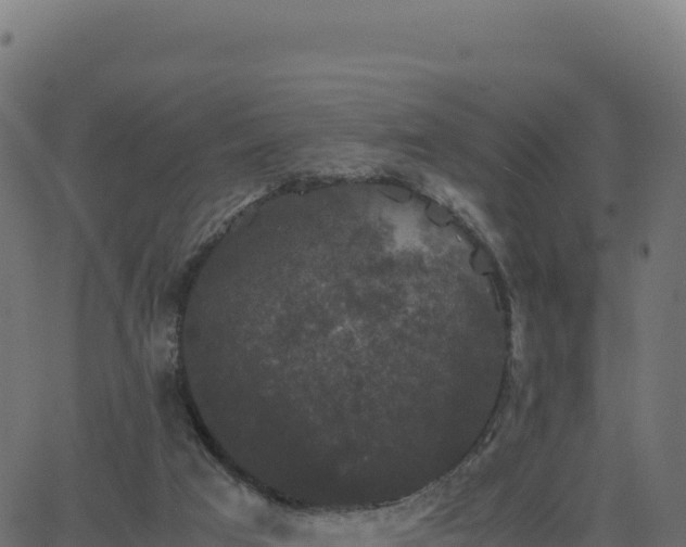 X0000062850017200601201715