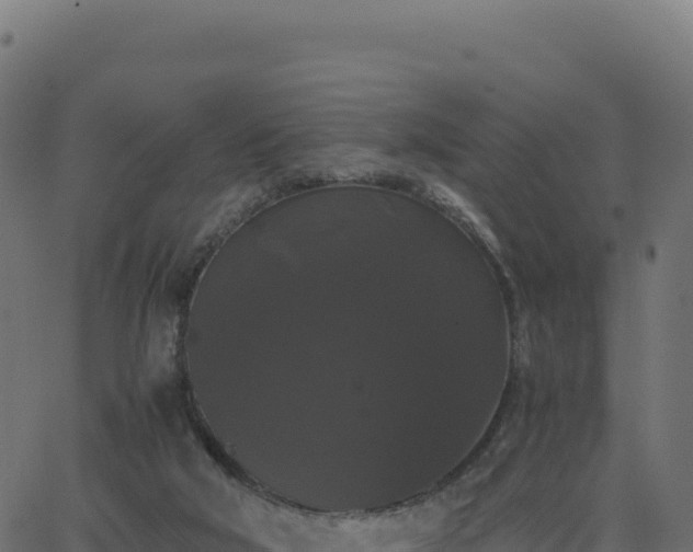 X0000062850018200601201715