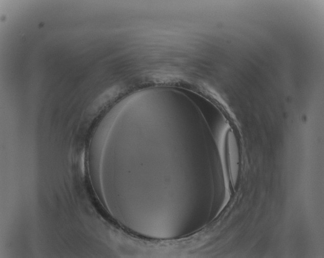 X0000062850019200601201715