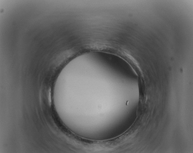 X0000062850020200601201715