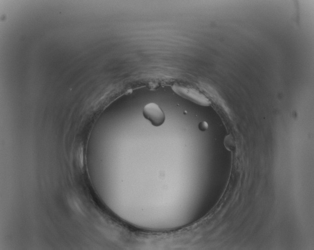 X0000062850021200601201715