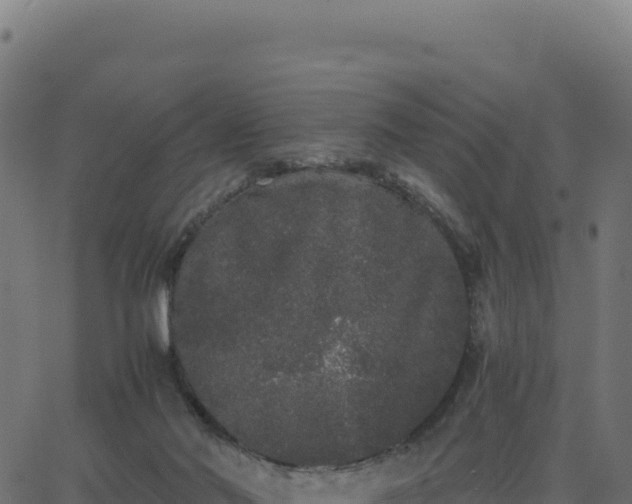 X0000062850022200601201715