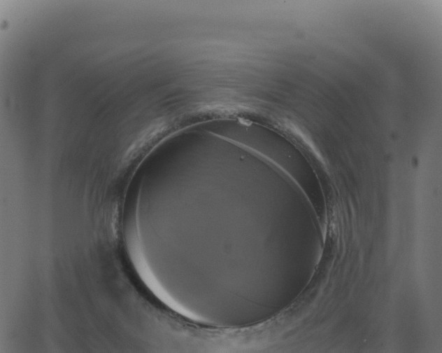 X0000062850023200601201715