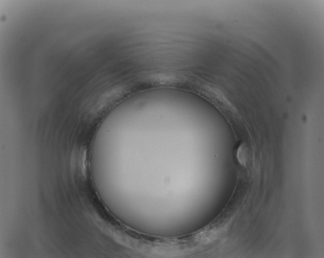 X0000062850024200601201715