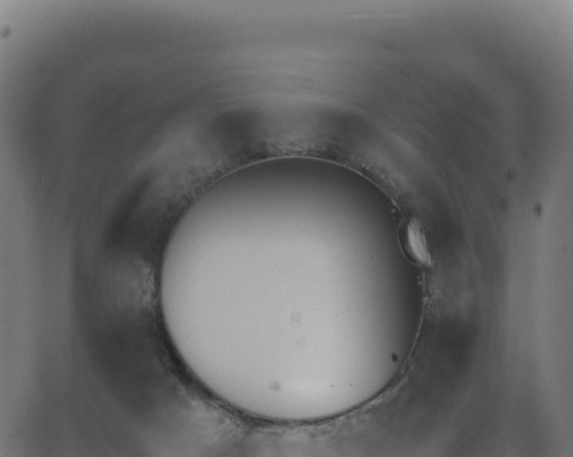 X0000062850025200601201715