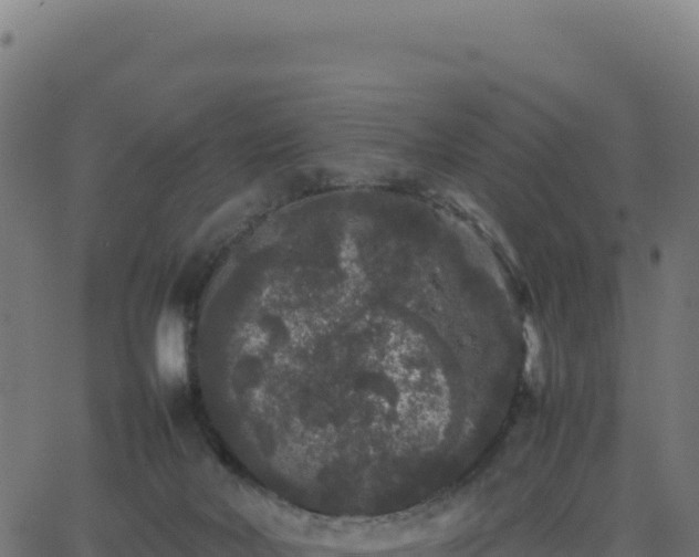 X0000062850026200601201715