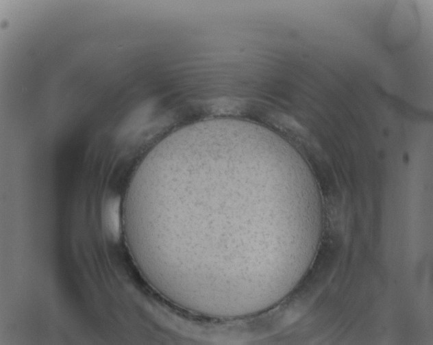 X0000062850028200601201715