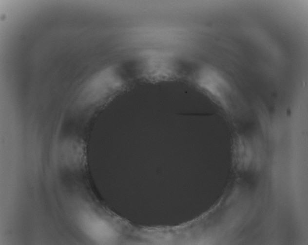 X0000062850029200601201715