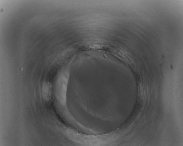 X0000062850030200601201715