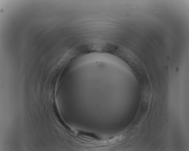 X0000062850031200601201715