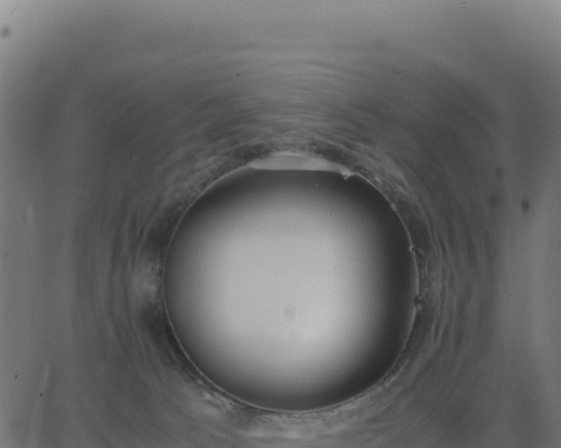 X0000062850033200601201715