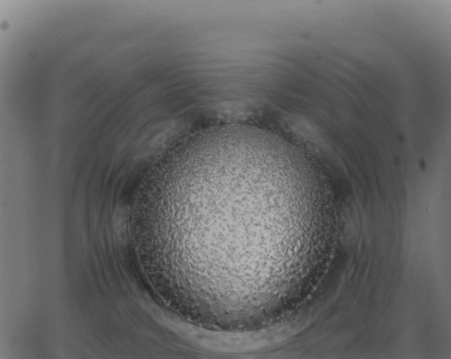 X0000062850034200601201715