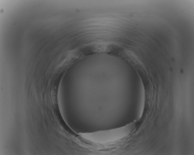 X0000062850035200601201715