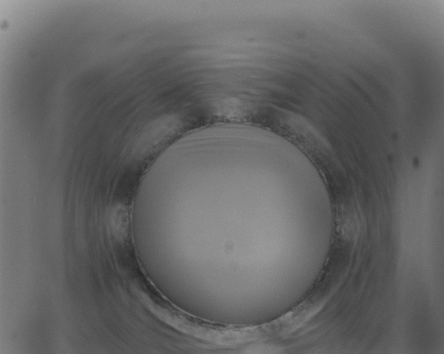 X0000062850036200601201715