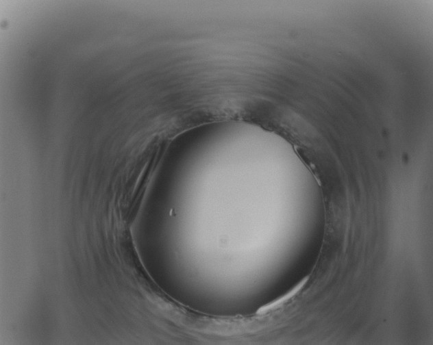 X0000062850037200601201715