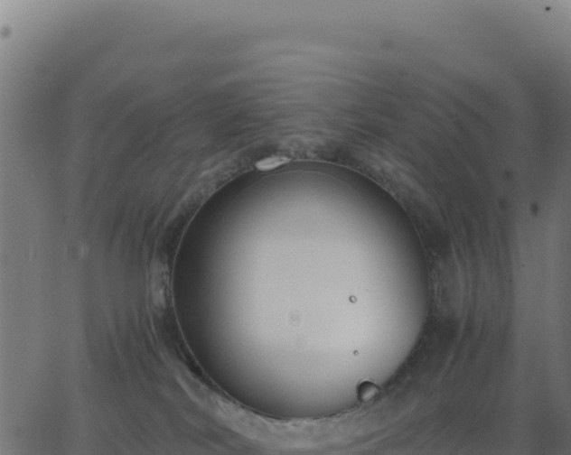 X0000062850038200601201714