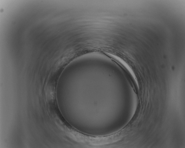 X0000062850039200601201714