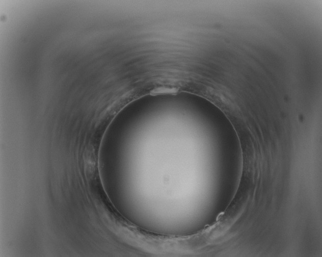 X0000062850040200601201714