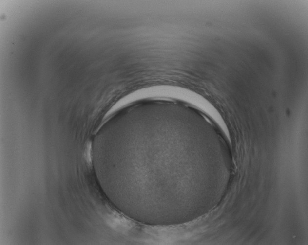 X0000062850041200601201714