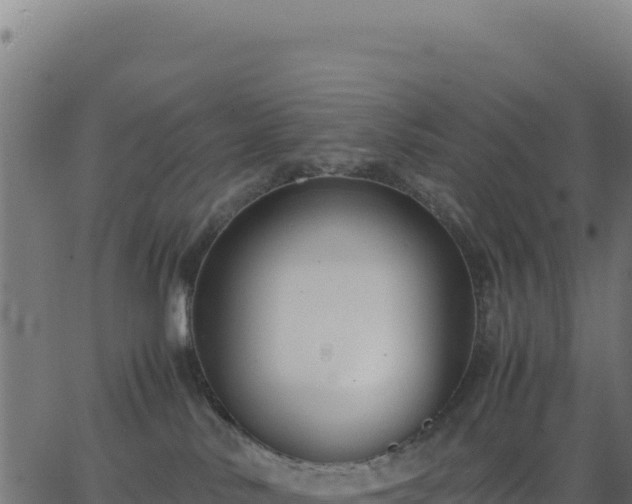 X0000062850042200601201714