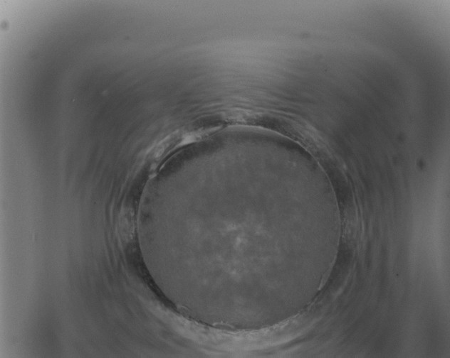 X0000062850043200601201714