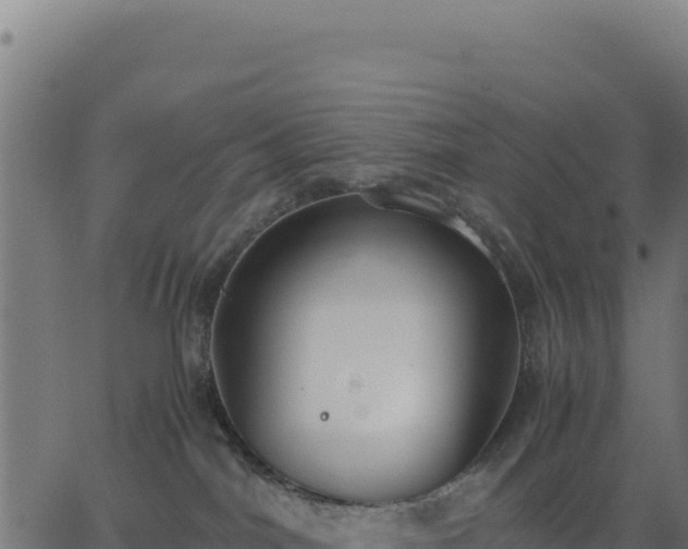 X0000062850044200601201714