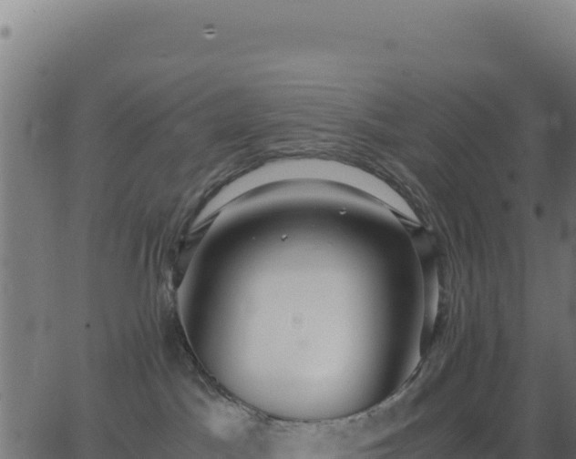 X0000062850045200601201714