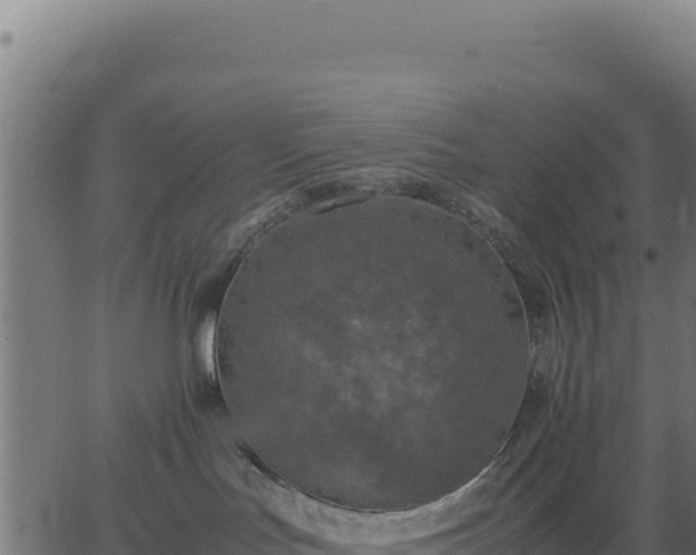 X0000062850047200601201714