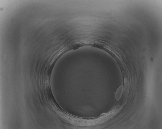 X0000062850048200601201714