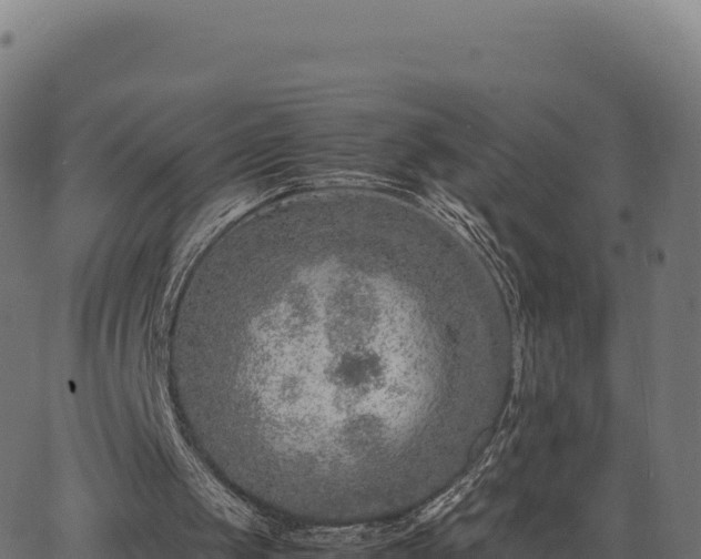 X0000062850049200601201714