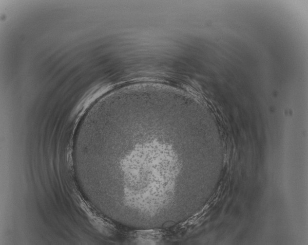 X0000062850050200601201714