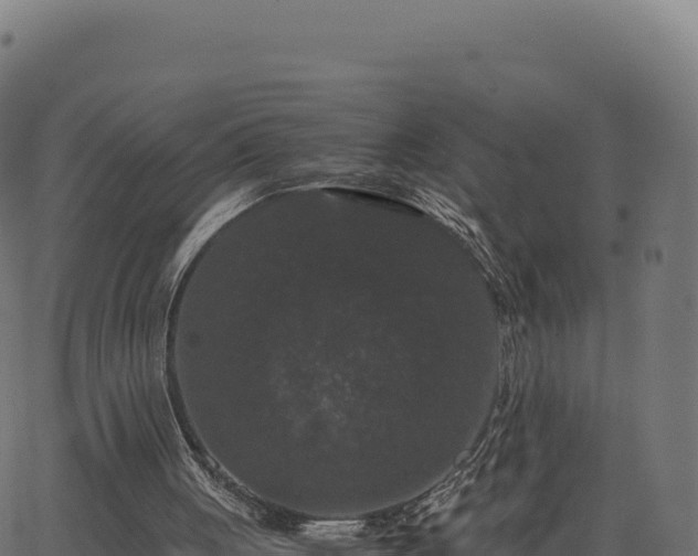 X0000062850051200601201714