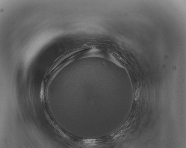 X0000062850052200601201714